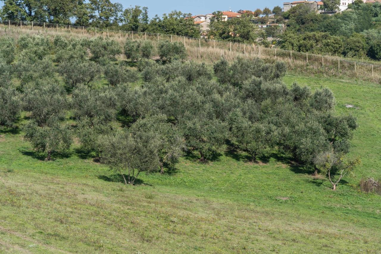 Agriturismo Bella Cima Montefiascone Εξωτερικό φωτογραφία