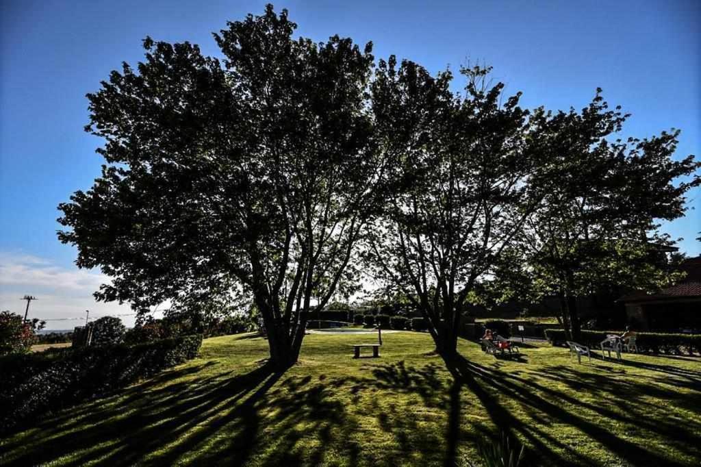 Agriturismo Bella Cima Montefiascone Εξωτερικό φωτογραφία